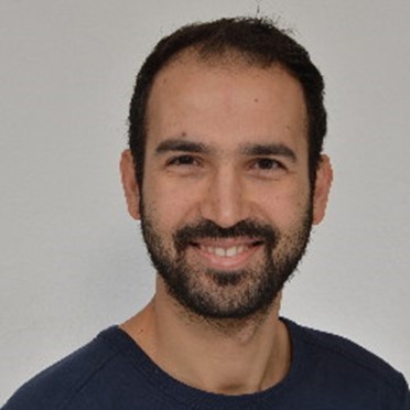 Domenico Brunetto